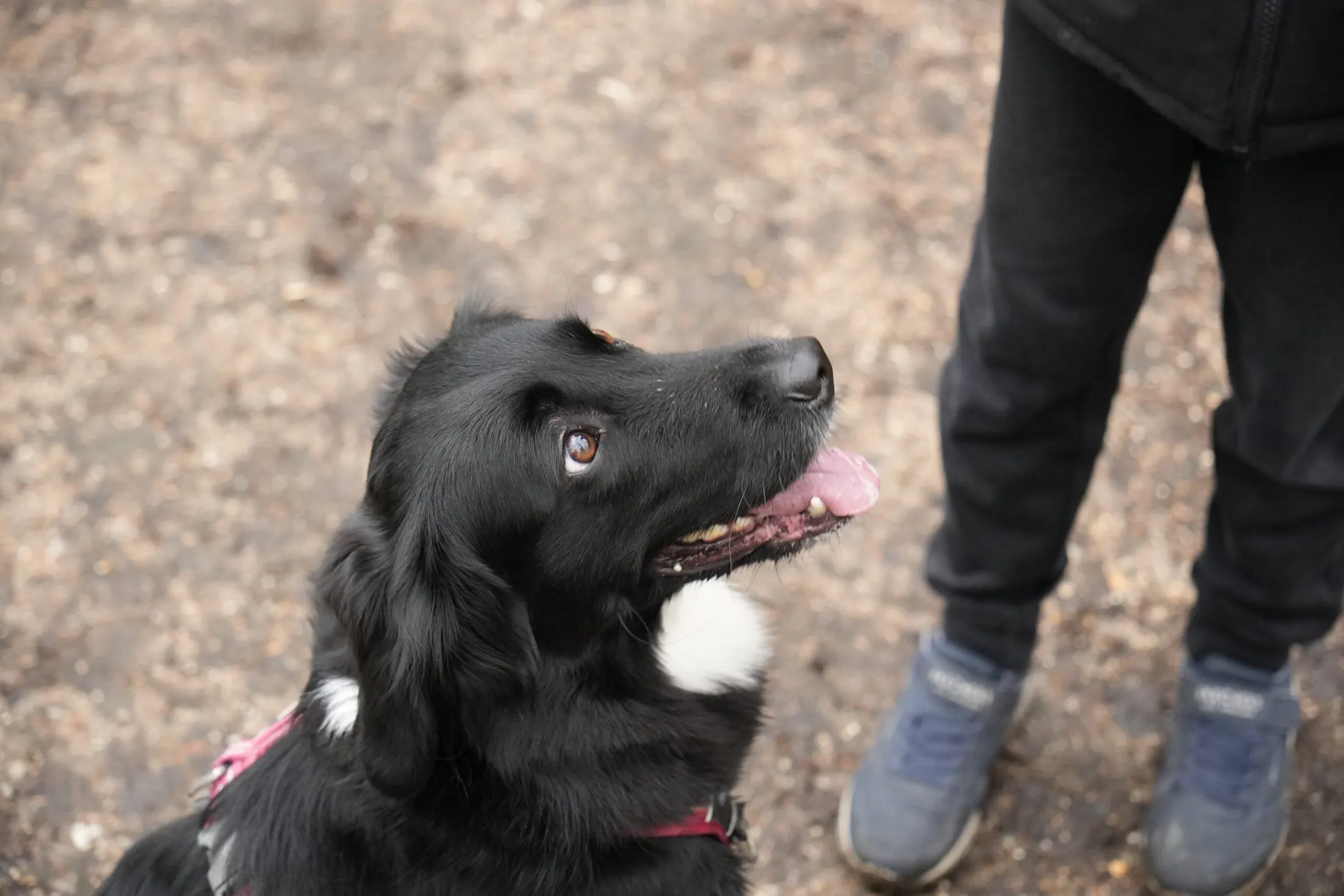Dieren fotografie door MK Fotografie, foto 4